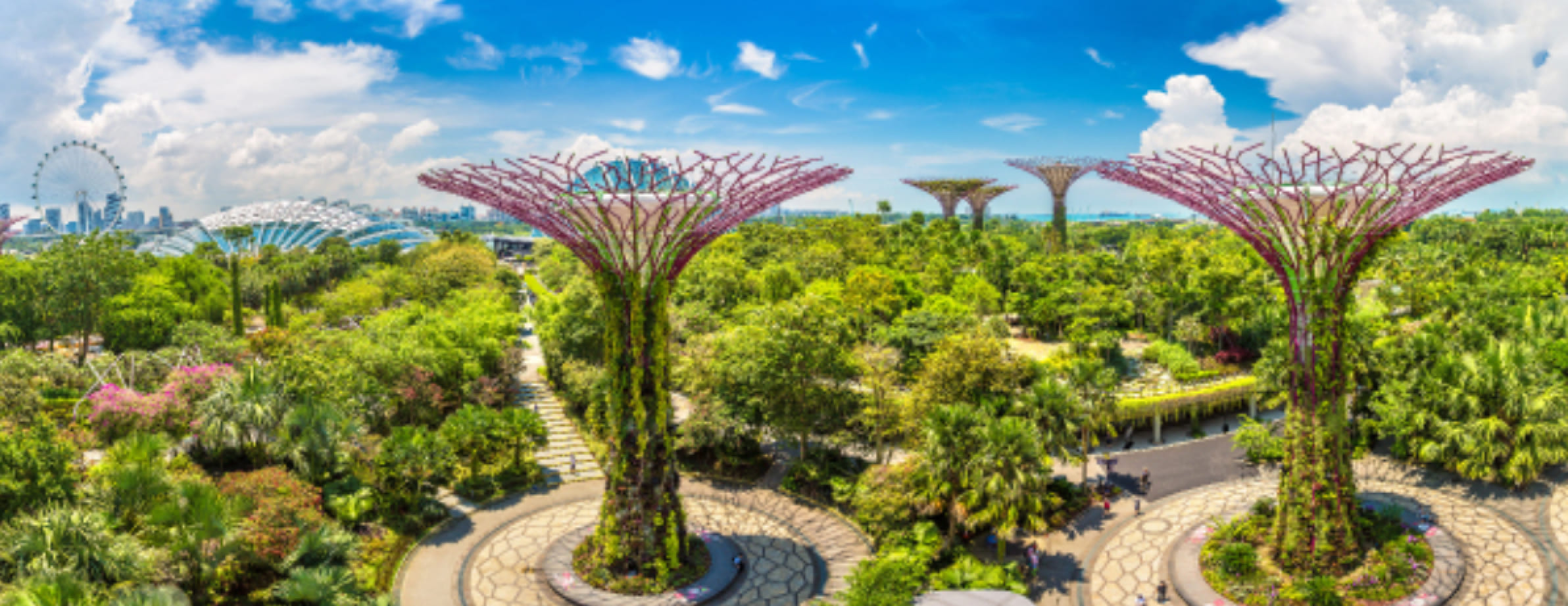 Tall tree-like structures with sprawling canopies above a lush garden, set against a bright blue sky in an urban park.